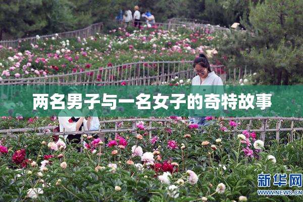 两名男子与一名女子的奇特故事