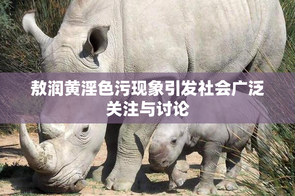 敖润黄淫色污现象引发社会广泛关注与讨论
