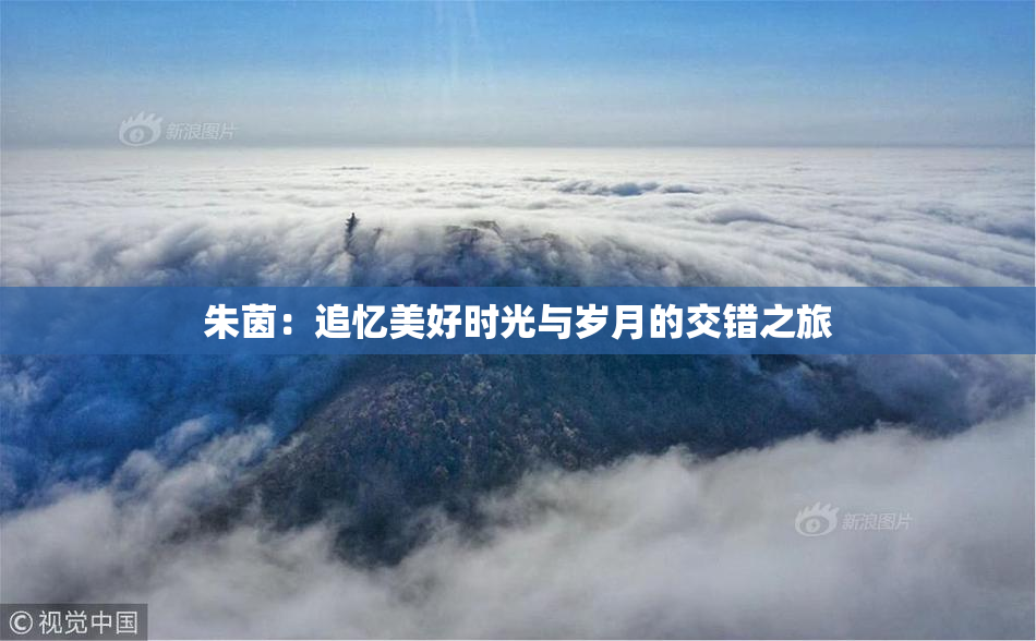朱茵：追忆美好时光与岁月的交错之旅