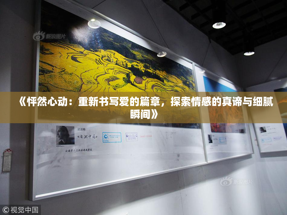 《怦然心动：重新书写爱的篇章，探索情感的真谛与细腻瞬间》