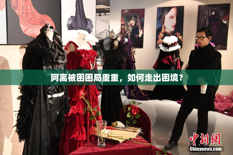 阿离被困困局重重，如何走出困境？