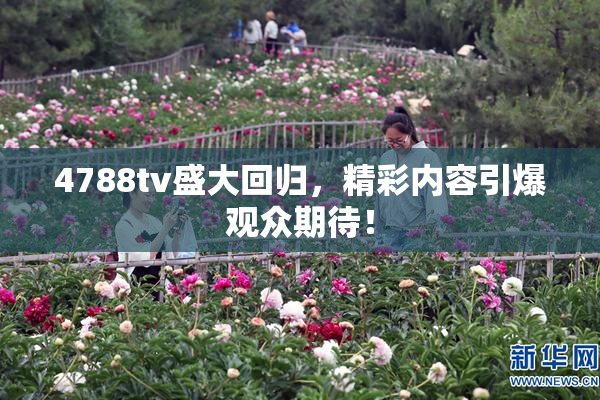 4788tv盛大回归，精彩内容引爆观众期待！