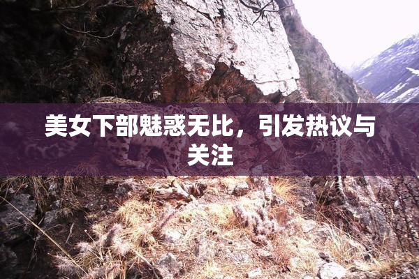 美女下部魅惑无比，引发热议与关注
