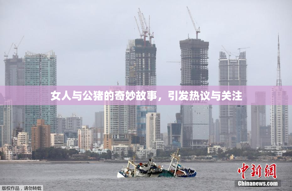 女人与公猪的奇妙故事，引发热议与关注