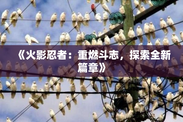 《火影忍者：重燃斗志，探索全新篇章》