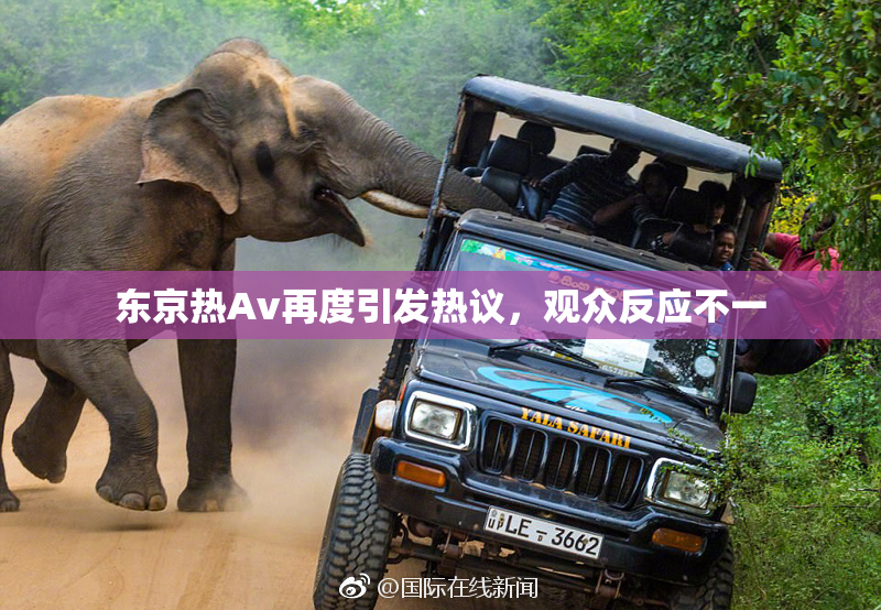 东京热Av再度引发热议，观众反应不一