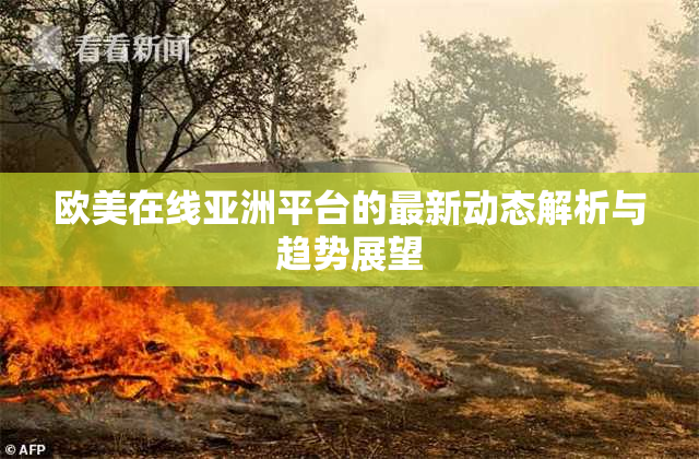 欧美在线亚洲平台的最新动态解析与趋势展望