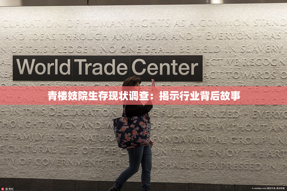青楼妓院生存现状调查：揭示行业背后故事