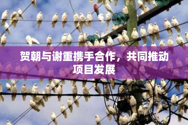贺朝与谢重携手合作，共同推动项目发展