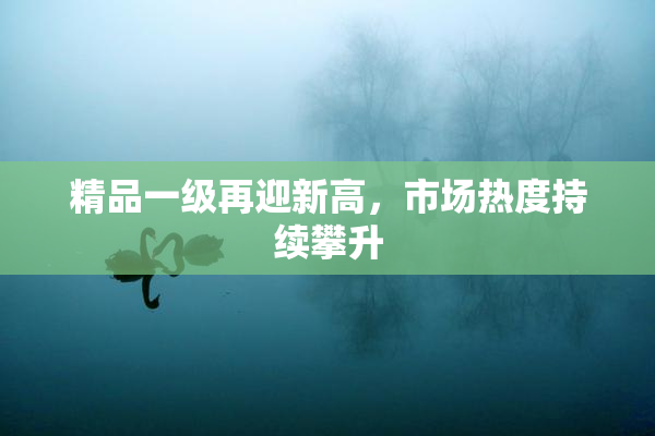 精品一级再迎新高，市场热度持续攀升