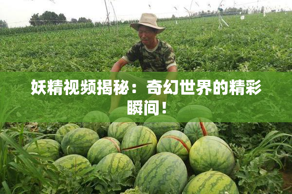 妖精视频揭秘：奇幻世界的精彩瞬间！