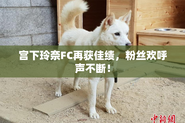 宫下玲奈FC再获佳绩，粉丝欢呼声不断！