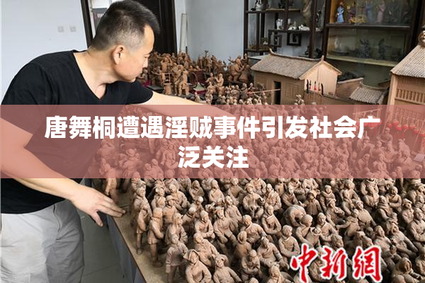 唐舞桐遭遇淫贼事件引发社会广泛关注