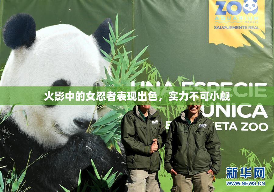 火影中的女忍者表现出色，实力不可小觑