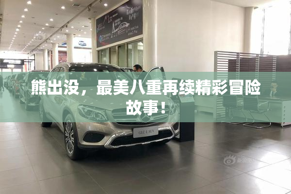 熊出没，最美八重再续精彩冒险故事！
