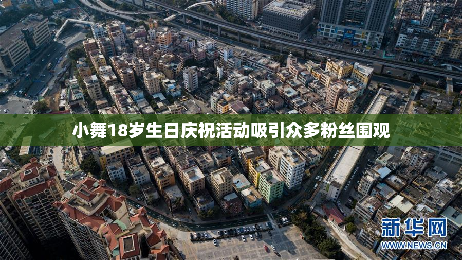 小舞18岁生日庆祝活动吸引众多粉丝围观