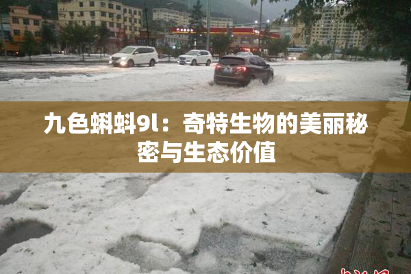 九色蝌蚪9l：奇特生物的美丽秘密与生态价值
