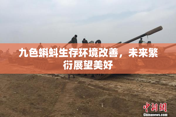 九色蝌蚪生存环境改善，未来繁衍展望美好