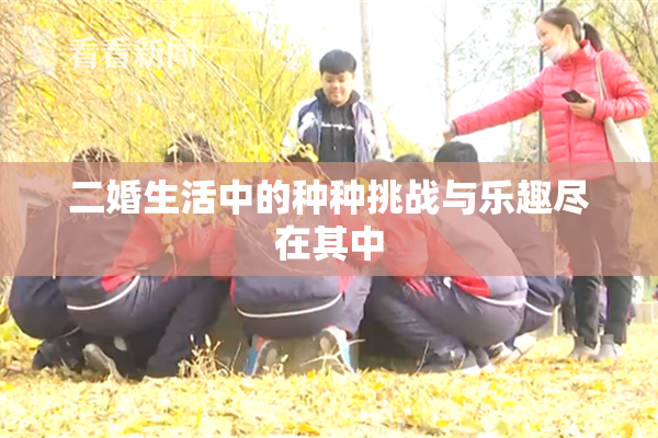 二婚生活中的种种挑战与乐趣尽在其中