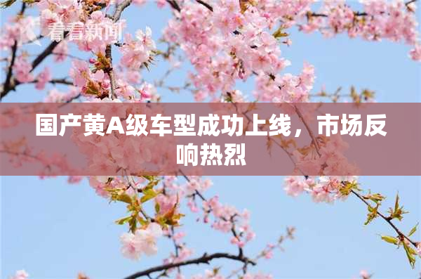 国产黄A级车型成功上线，市场反响热烈