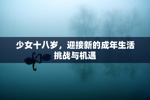 少女十八岁，迎接新的成年生活挑战与机遇