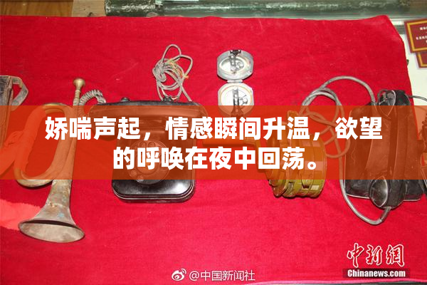 娇喘声起，情感瞬间升温，欲望的呼唤在夜中回荡。