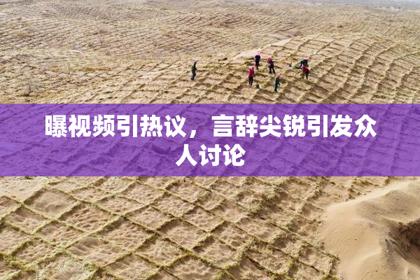 曝视频引热议，言辞尖锐引发众人讨论