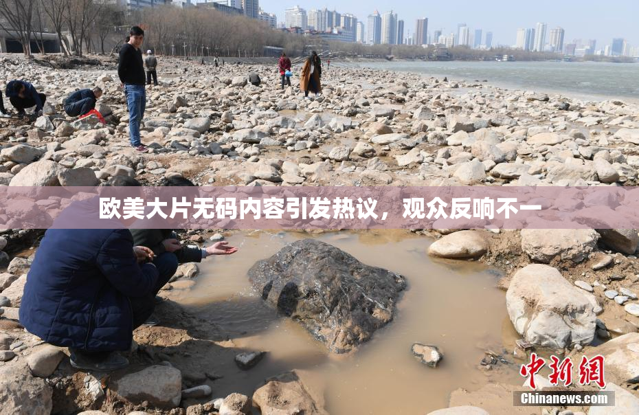 欧美大片无码内容引发热议，观众反响不一