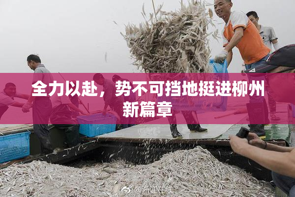 全力以赴，势不可挡地挺进柳州新篇章