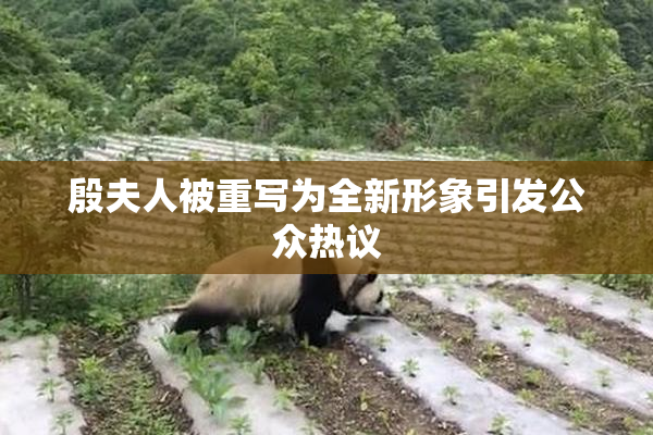 殷夫人被重写为全新形象引发公众热议