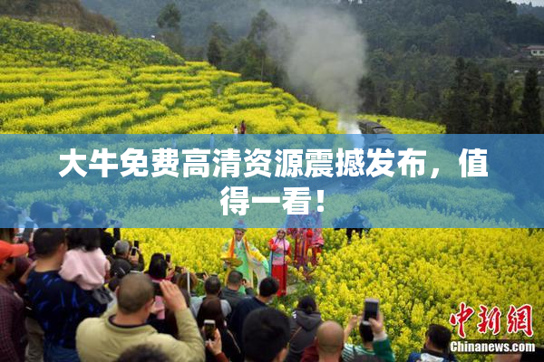 大牛免费高清资源震撼发布，值得一看！