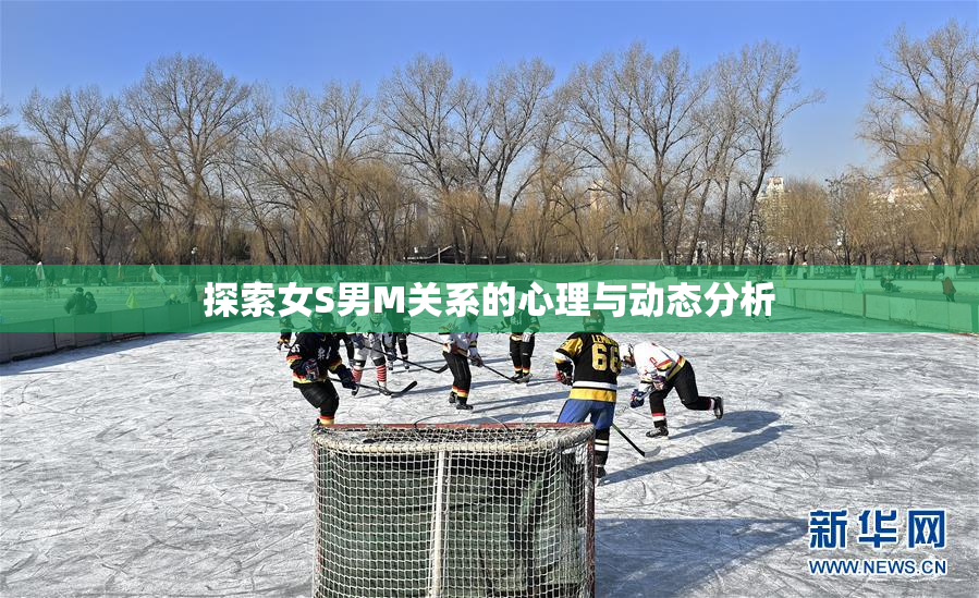探索女S男M关系的心理与动态分析