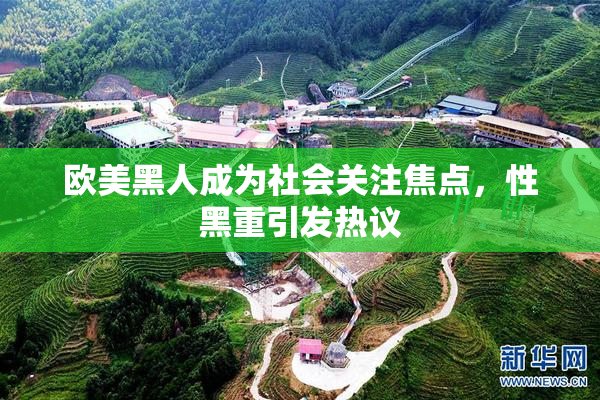 欧美黑人成为社会关注焦点，性黑重引发热议