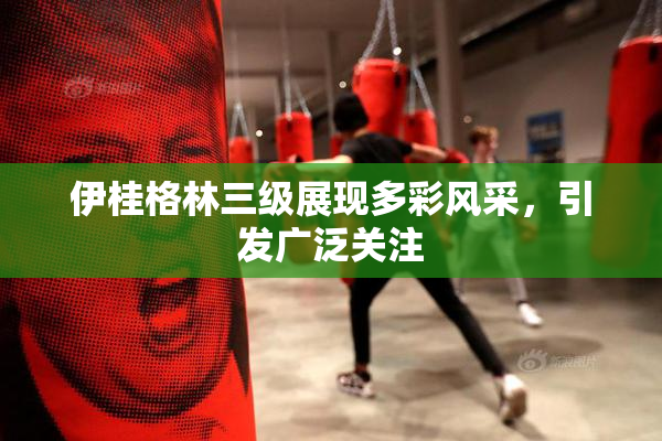 伊桂格林三级展现多彩风采，引发广泛关注