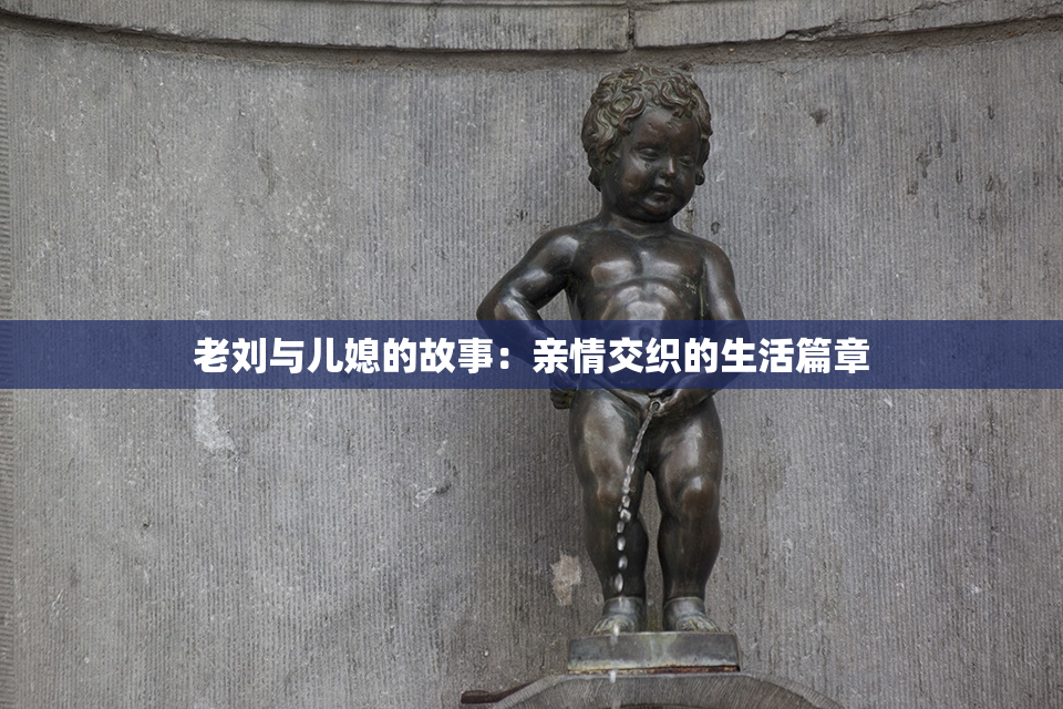 老刘与儿媳的故事：亲情交织的生活篇章