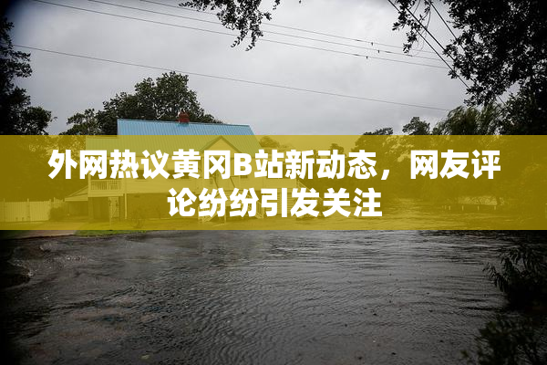 外网热议黄冈B站新动态，网友评论纷纷引发关注