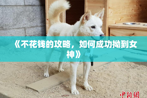《不花钱的攻略，如何成功拗到女神》