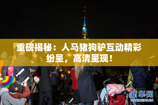 重磅揭秘：人马猪狗驴互动精彩纷呈，高清呈现！