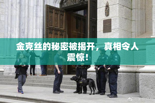 金克丝的秘密被揭开，真相令人震惊！