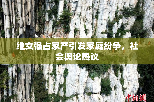 继女强占家产引发家庭纷争，社会舆论热议