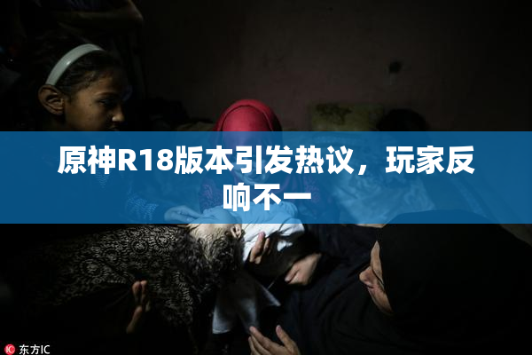 原神R18版本引发热议，玩家反响不一