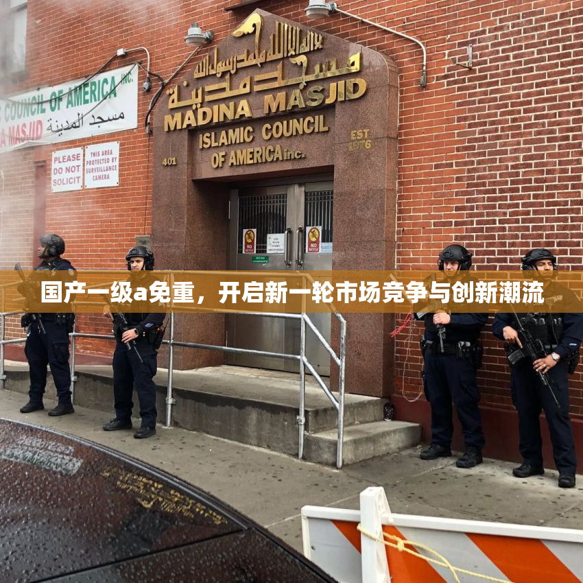 国产一级a免重，开启新一轮市场竞争与创新潮流