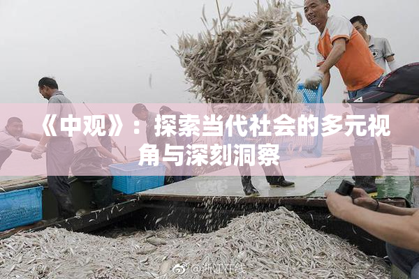 《中观》：探索当代社会的多元视角与深刻洞察