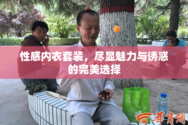 性感内衣套装，尽显魅力与诱惑的完美选择