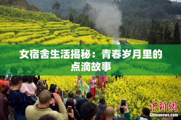 女宿舍生活揭秘：青春岁月里的点滴故事