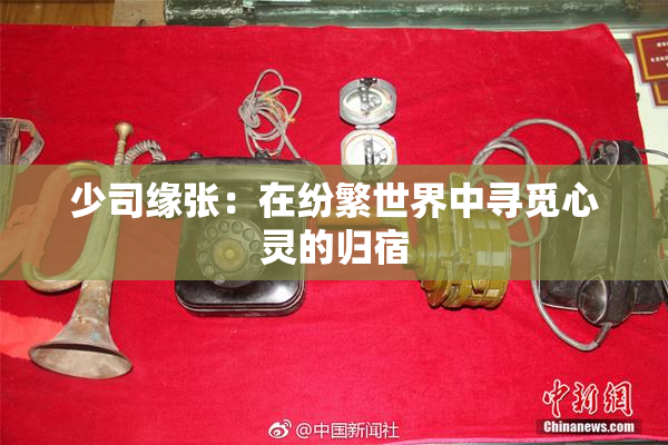 少司缘张：在纷繁世界中寻觅心灵的归宿
