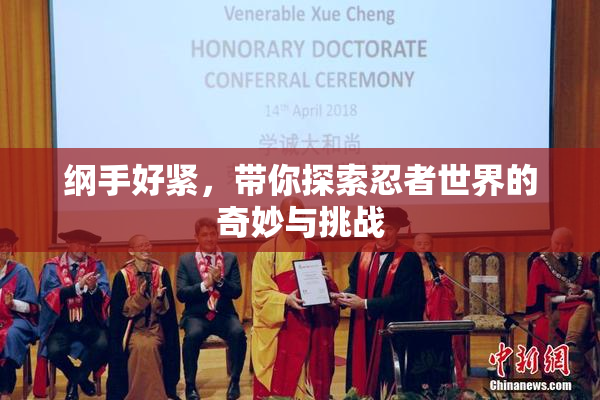 纲手好紧，带你探索忍者世界的奇妙与挑战
