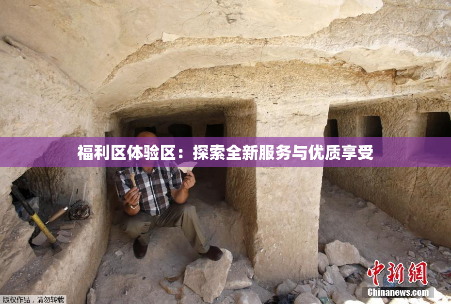 福利区体验区：探索全新服务与优质享受