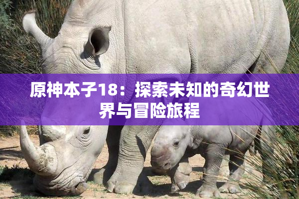 原神本子18：探索未知的奇幻世界与冒险旅程