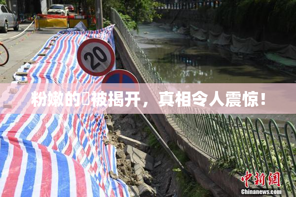 粉嫩的泬被揭开，真相令人震惊！